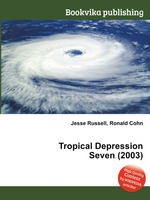 Tropical Depression Seven (2003)