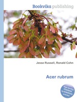 Acer rubrum
