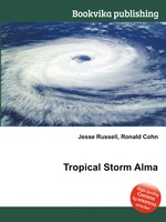 Tropical Storm Alma