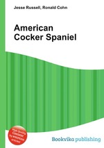 American Cocker Spaniel