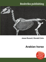 Arabian horse