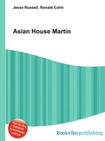 Asian House Martin