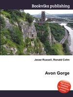 Avon Gorge