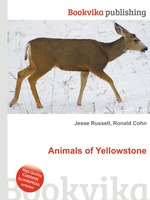 Animals of Yellowstone