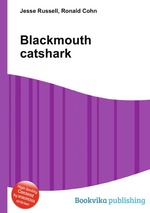 Blackmouth catshark