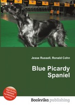 Blue Picardy Spaniel