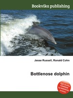 Bottlenose dolphin