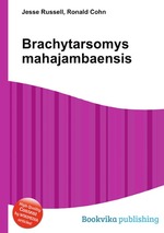 Brachytarsomys mahajambaensis