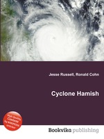 Cyclone Hamish