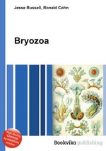 Bryozoa