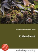 Calostoma