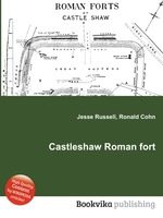 Castleshaw Roman fort