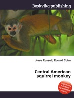 Central American squirrel monkey