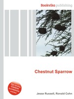 Chestnut Sparrow