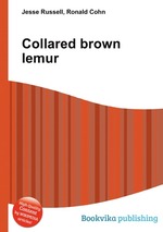 Collared brown lemur