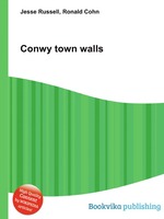 Conwy town walls