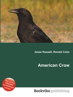 American Crow