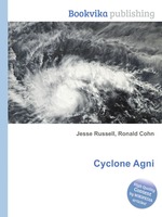 Cyclone Agni