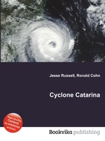 Cyclone Catarina