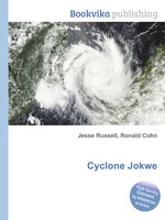 Cyclone Jokwe