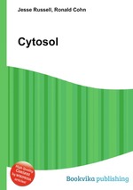 Cytosol