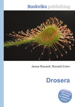 Drosera