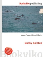 Dusky dolphin