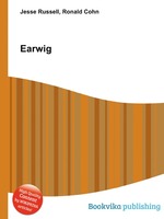 Earwig