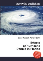 Effects of Hurricane Dennis in Florida