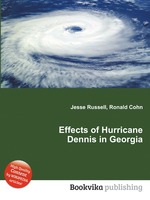 Effects of Hurricane Dennis in Georgia