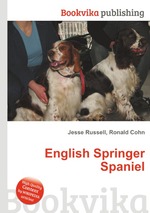 English Springer Spaniel