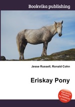 Eriskay Pony