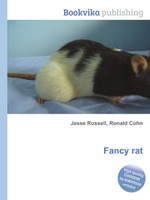 Fancy rat