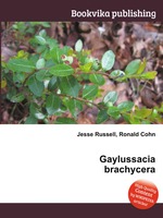 Gaylussacia brachycera