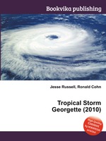 Tropical Storm Georgette (2010)