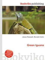 Green Iguana