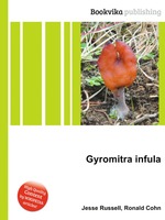 Gyromitra infula