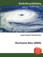 Hurricane Alex (2004)