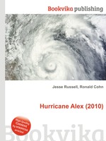 Hurricane Alex (2010)