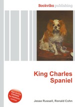 King Charles Spaniel