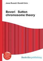 Boveri   Sutton chromosome theory