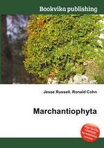 Marchantiophyta