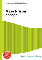 Maze Prison escape