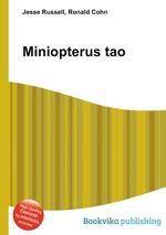 Miniopterus tao