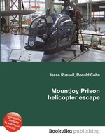 Mountjoy Prison helicopter escape