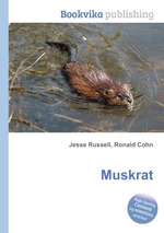 Muskrat