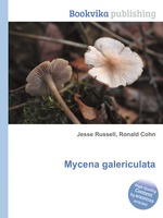 Mycena galericulata