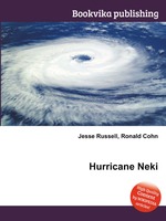 Hurricane Neki