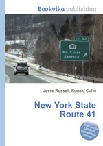 New York State Route 41