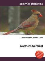 Northern Cardinal